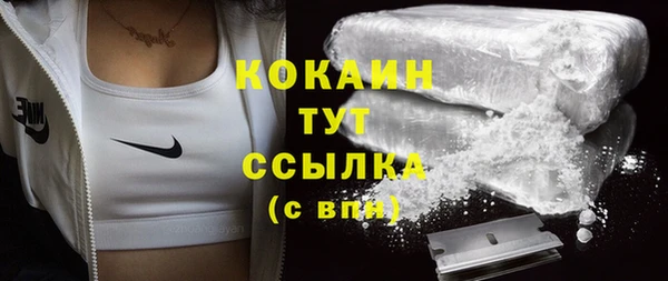 СК Бронницы