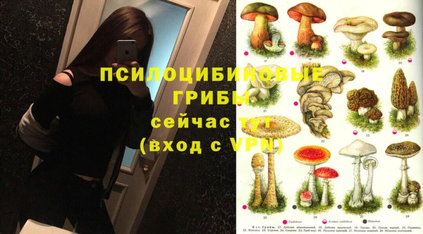 СК Бронницы
