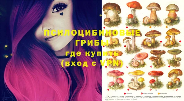трава Бугульма